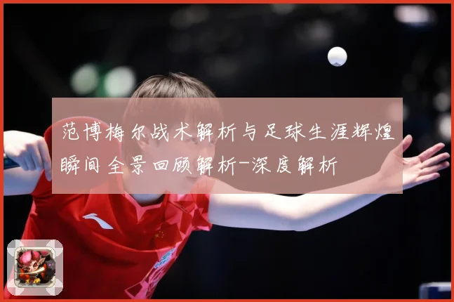 范博梅尔战术解析与足球生涯辉煌瞬间全景回顾解析-深度解析